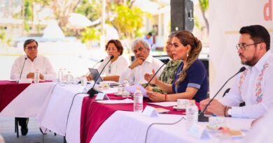 Abordando el desafío del fuego en Acapulco