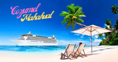 Líderes en la recepción de Cruceros en México