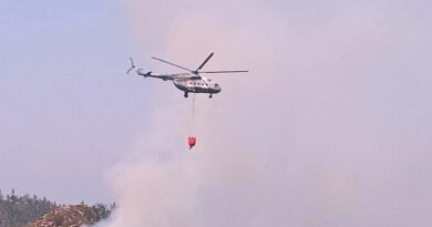 Avances en incendio de El Veladero