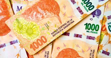 Con un aumento del 44,2 % frente a otras monedas, el peso argentino marca un hito económico, aunque surgen riesgos a largo plazo.