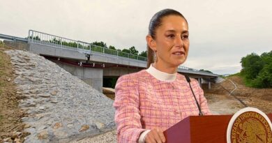La ampliación de 11 tramos carreteros y 20 puentes vehiculares busca mejorar la conectividad y calidad de vida en diversas ciudades del país.