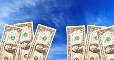 La sobrevaloración del dólar pone en riesgo la posición de EE.UU. como moneda de reserva y su estabilidad económica, según Stephen Miran, candidato a dirigir el Consejo de Asesores Económicos de la Casa Blanca.
