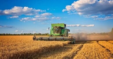 Las políticas comerciales de la administración Trump, caracterizadas por la imposición de aranceles a socios clave como México, Canadá y China, han contribuido al tercer déficit anual consecutivo en el comercio de alimentos agrícolas de Estados Unidos, debilitando su posición histórica como líder exportador.