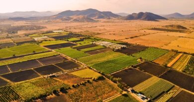 Con inversión superior a 3 mdp, se inaugura tecnificación de riego por goteo en pozos de Tepalcingo para fortalecer el agro sustentable en Morelos.