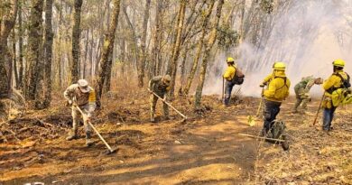 Se activa el Plan DN-III-E en la Sierra de Los Agustinos, Acámbaro, para contener focos activos y evitar que el fuego avance a zonas pobladas
