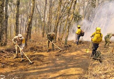 Se activa el Plan DN-III-E en la Sierra de Los Agustinos, Acámbaro, para contener focos activos y evitar que el fuego avance a zonas pobladas