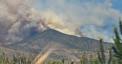 Zonas como La Malinche, Libres, Citlaltépetl y El Zapotecas registran fuegos activos; la calidad del aire se deteriora y persiste la emergencia ambiental.