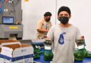 El Gobierno de Morelos propone un comité interinstitucional para llevar el aguacate de Ocuituco a EE.UU., respaldando productores y empacadoras locales.