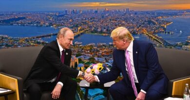 La llamada entre ambos presidentes ocurre tras el reinicio del diálogo ruso-ucraniano en Estambul y podría destrabar el estancamiento bélico.