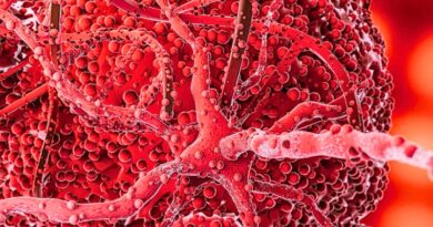 Investigadores de KAIST reprograman células cancerosas en lugar de destruirlas, abriendo paso a una terapia genética más precisa y menos tóxica.