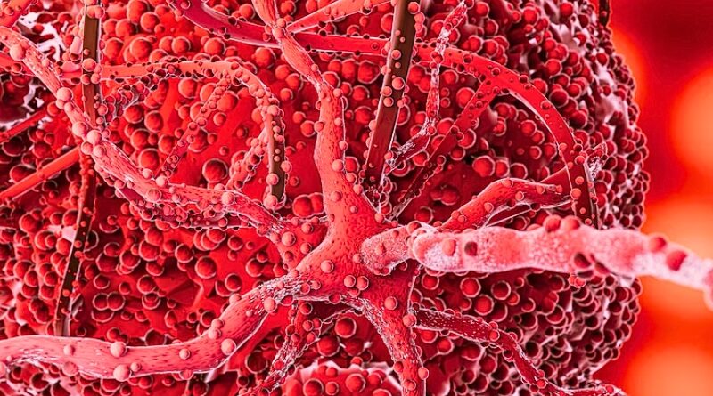 Investigadores de KAIST reprograman células cancerosas en lugar de destruirlas, abriendo paso a una terapia genética más precisa y menos tóxica.