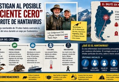 Una pareja de observadores de aves de Países Bajos murió tras recorrer Sudamérica; autoridades investigan vínculo con la cepa Andes del virus.