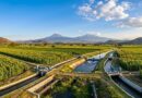 La inversión federal permitirá tecnificar el Distrito de Riego 016, reducir fugas y recuperar agua para fortalecer la producción agrícola y el abasto.