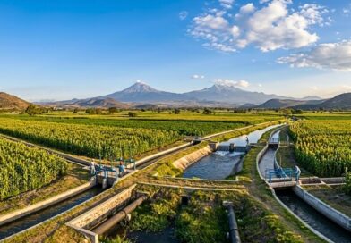 La inversión federal permitirá tecnificar el Distrito de Riego 016, reducir fugas y recuperar agua para fortalecer la producción agrícola y el abasto.