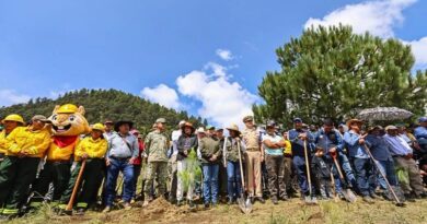 Huitzilac fue sede de una jornada que sumó 5 mil árboles al Bosque de Agua y elevó a 160 mil la cifra estatal de plantaciones durante 2026 en Morelos.