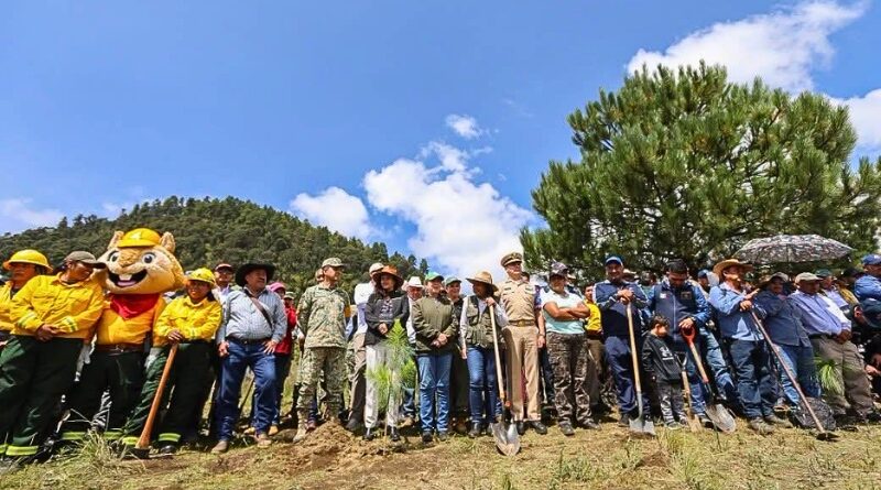 Huitzilac fue sede de una jornada que sumó 5 mil árboles al Bosque de Agua y elevó a 160 mil la cifra estatal de plantaciones durante 2026 en Morelos.