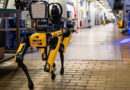 DHS confirma la compra de robots Spot de Boston Dynamics para que ICE inspeccione zonas peligrosas sin exponer directamente a sus agentes.