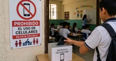 La restricción regirá desde el 3 de noviembre en escuelas públicas y privadas, y cada plantel podrá definir reglas específicas según sus necesidades.