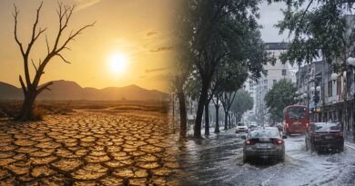 Sequías, calor extremo y plagas acechan al país ante el fenómeno más intenso en décadas, con efectos que podrían extenderse hasta la primavera de 2027